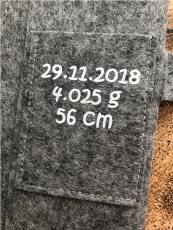 U-Heft Hülle Elefant personalisiert mit Namen Blau